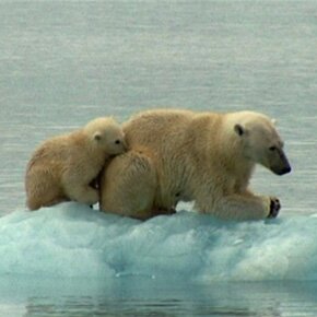 How to sell hope How to sell hope